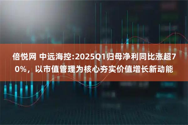 倍悦网 中远海控:2025Q1归母净利同比涨超70%，以市值管理为核心夯实价值增长新动能