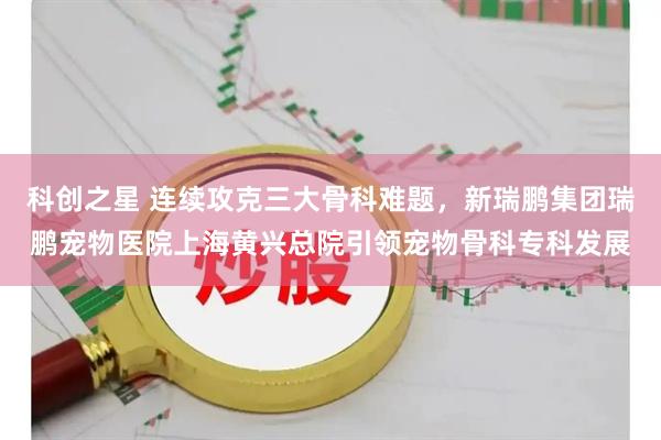 科创之星 连续攻克三大骨科难题，新瑞鹏集团瑞鹏宠物医院上海黄兴总院引领宠物骨科专科发展