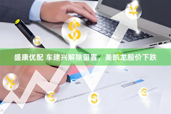 盛康优配 车建兴解除留置，美凯龙股价下跌