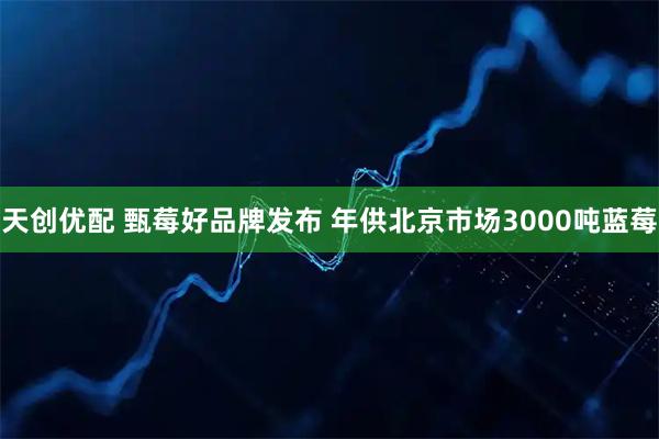 天创优配 甄莓好品牌发布 年供北京市场3000吨蓝莓
